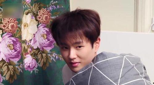 范丞丞白鹿吃瓜爆料视频,揭秘娱乐圈幕后真相  第1张